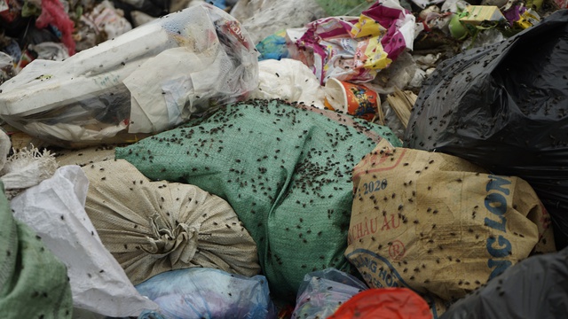 Thái Bình: Người dân ‘sống mòn’ cùng mùi hôi thối, khói bụi từ bãi rác khổng lồ- Ảnh 9.