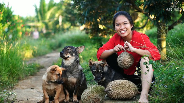 Trào lưu bỏ phố về quê 'sốt' trở lại do giá chung cư tiếp tục leo thang?- Ảnh 3.