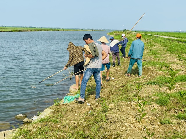 Thông tin mới vụ cá trên sông Ô Giang liên tục chết không rõ nguyên nhân- Ảnh 1.