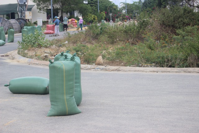 Cảnh hoang tàn của dự án Tập đoàn Phúc Sơn ở Khánh Hòa- Ảnh 10.