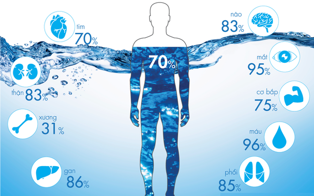 Uống nước ngay cả khi không khát là lời khuyên của các chuyên gia dinh dưỡng.. Nếu không uống đủ nước sẽ gây ra nhiều hệ lụy đến sức khỏe.