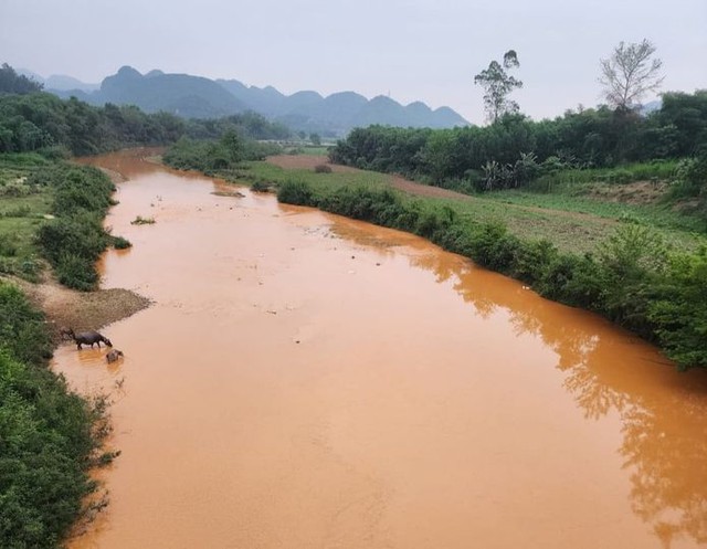 Truy tìm nguyên nhân khiến sông Nậm Tôn bỗng chuyển đục vàng- Ảnh 1.