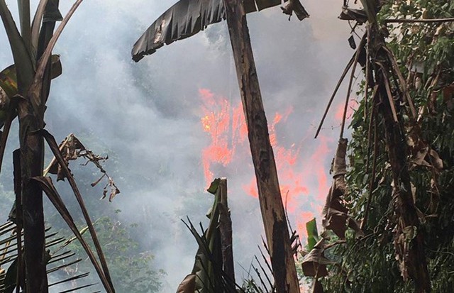 Một phụ nữ tử vong khi tham gia chữa cháy rừng ở Điện Biên- Ảnh 1.