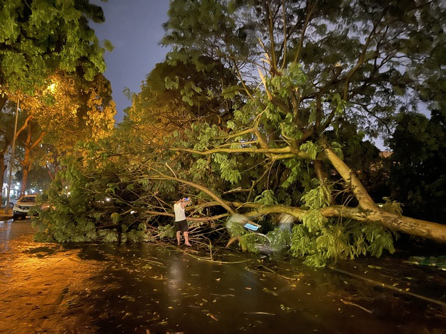 Loạt cây xanh ở Hà Nội ngã đổ sau trận mưa lớn- Ảnh 3.
