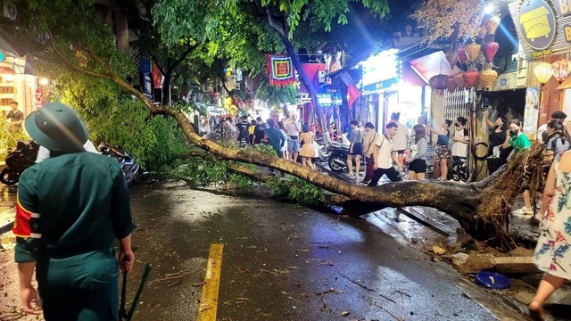 Loạt cây xanh ở Hà Nội ngã đổ sau trận mưa lớn- Ảnh 2.