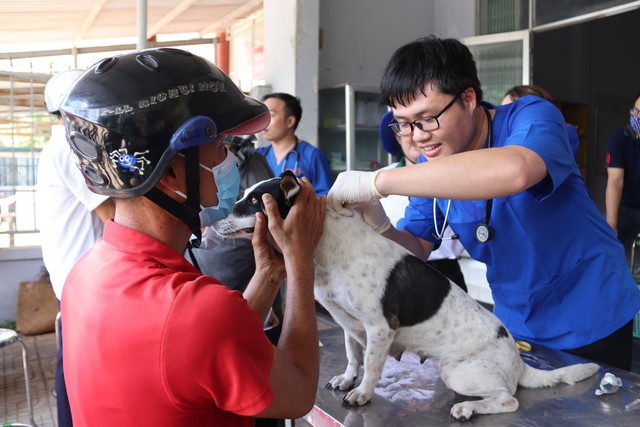 Long An: Ca bệnh dại tăng cao, 6.500 chó mèo được tiêm vaccine miễn phí- Ảnh 1.