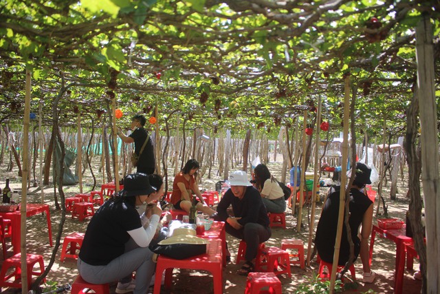 Gợi ý những điểm đến ấn tượng ở vùng đất nắng gió Ninh Thuận dịp nghỉ lễ- Ảnh 3.