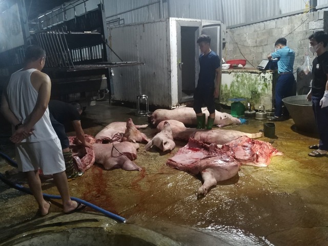 Hơn 1 tấn thịt nhiễm dịch tả lợn Châu Phi 'suýt' lên mâm cơm- Ảnh 2.