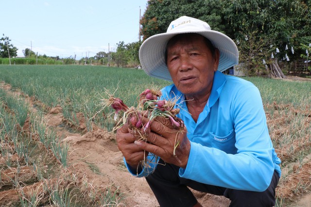 Người dân Ninh Thuận khó khăn vì hồ nước cạn trơ đáy- Ảnh 3.