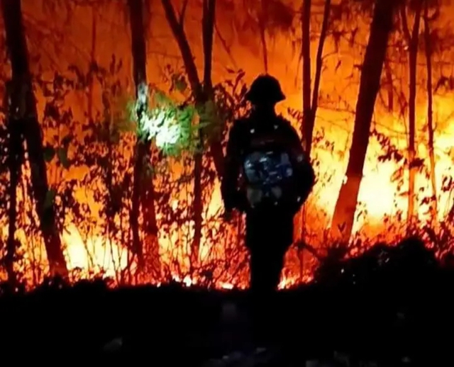 Đã khống chế 2 vụ cháy rừng ở Nghệ An- Ảnh 2.