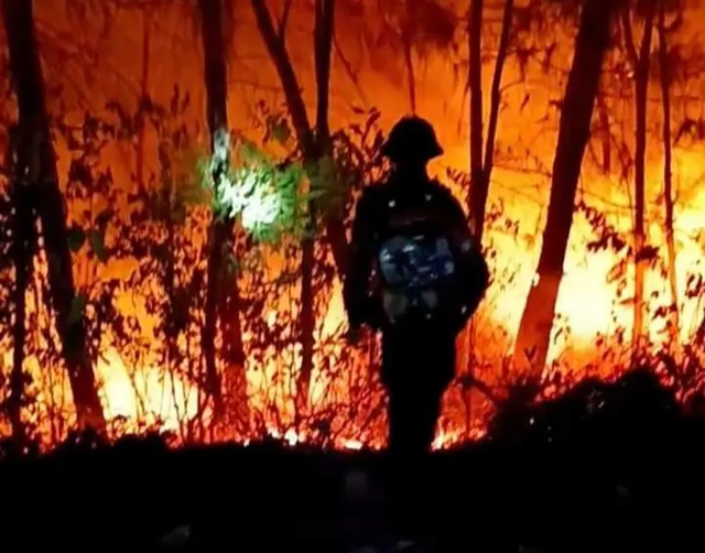 Sẽ khởi tố vụ cháy rừng ở Nghệ An nếu có sai phạm- Ảnh 1.