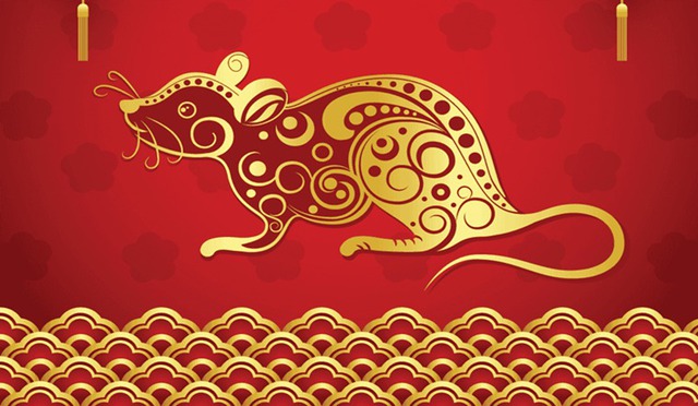 Tử vi 12 con giáp hôm nay 11/5: Tuất thuận lợi, Hợi thành công- Ảnh 1. Tử vi 12 con giáp hôm nay 11/5: Tuất thuận lợi, Hợi thành công- Ảnh 1.