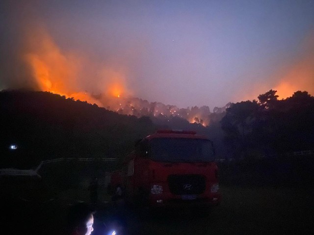 Xử lý nghiêm đối tượng gây ra vụ cháy rừng tại 2 huyện ở Nghệ An- Ảnh 3.