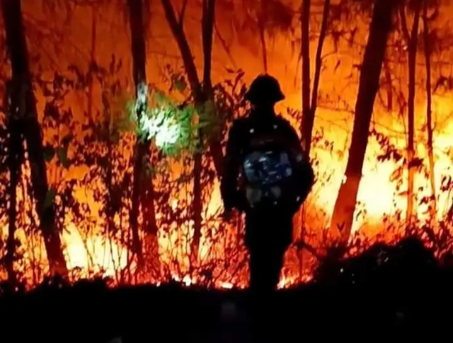 Xử lý nghiêm đối tượng gây ra vụ cháy rừng tại 2 huyện ở Nghệ An- Ảnh 2.