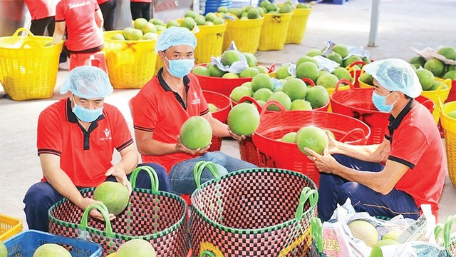 Tin cực vui cho xuất khẩu nông sản của Việt Nam- Ảnh 1.