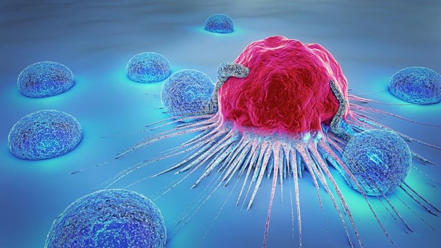 Tế bào bình thường sẽ phát triển, phân chia và thay thế nhau nhưng khi chúng sinh sản quá nhanh, không kiểm soát sẽ thành các khối u cả lành tính và ung thư.