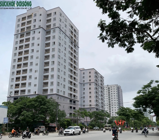 Xót xa hàng nghìn căn hộ tái định cư trên 'đất vàng' bị bỏ hoang tại Hà Nội- Ảnh 6.