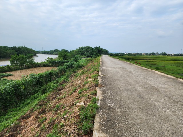 Hàng trăm km đê ở Thanh Hóa chưa đảm bảo cao trình chống lũ- Ảnh 2.