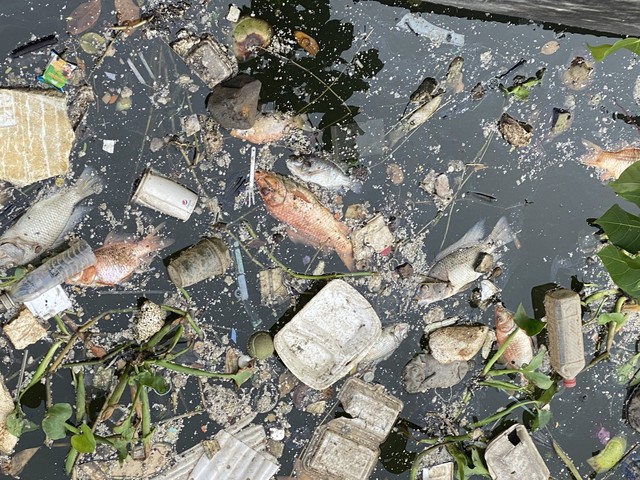 Sau mưa, kênh rạch ở TPHCM ngập rác- Ảnh 3.
