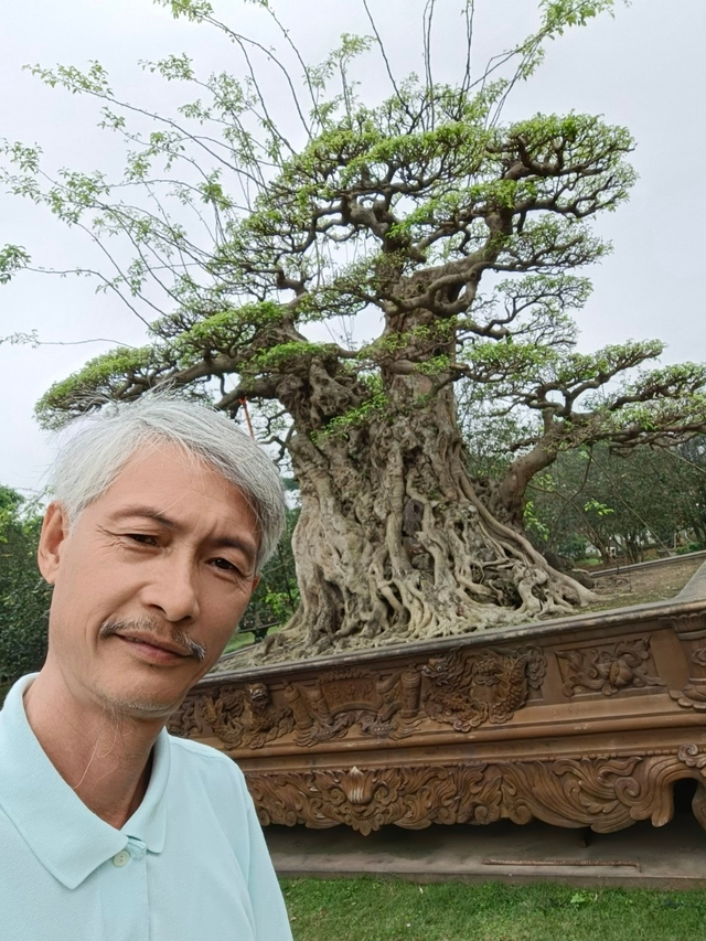 Mục sở thị vườn cây tùng cổ hiếm có của "Gã đầu bạc" tại Hà Nội- Ảnh 1. Mục sở thị vườn cây tùng cổ hiếm có của "Gã đầu bạc" tại Hà Nội- Ảnh 1.