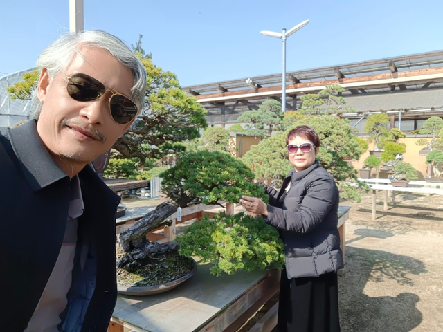 Mục sở thị vườn cây tùng cổ hiếm có của "Gã đầu bạc" tại Hà Nội- Ảnh 3. Mục sở thị vườn cây tùng cổ hiếm có của "Gã đầu bạc" tại Hà Nội- Ảnh 3.