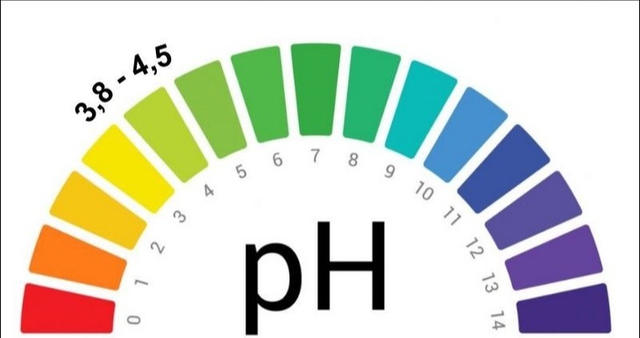 5 biện pháp khắc phục tại nhà để duy trì cân bằng độ pH âm đạo- Ảnh 1.