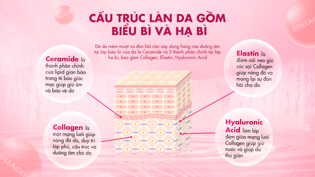 Biết người biết da, chăm da tràn sắc!- Ảnh 1.