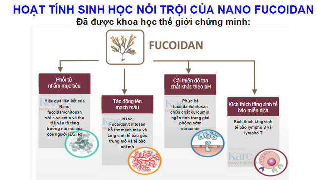 Bí quyết hỗ trợ sức khỏe cho người ung bướu- Ảnh 1.