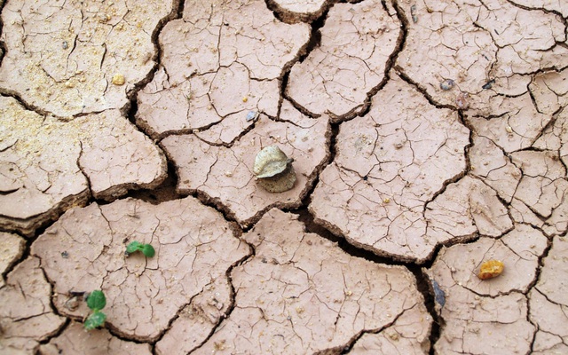 Ngày môi trường thế giới 5/6: 40% đất đai đang bị suy thoái- Ảnh 2.