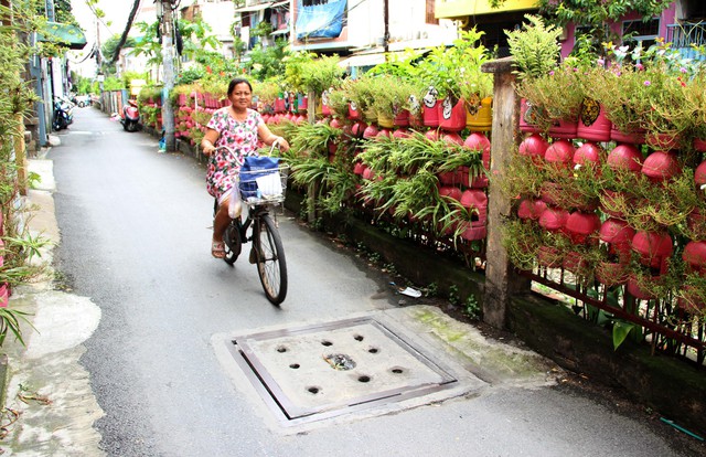 Tuyến đường nổi bật với các chậu trồng cây màu hồng. Ảnh: Xuân Dự