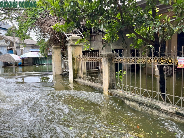 Vùng 'rốn lũ' huyện Chương Mỹ, Hà Nội cô lập trong biển nước- Ảnh 4.