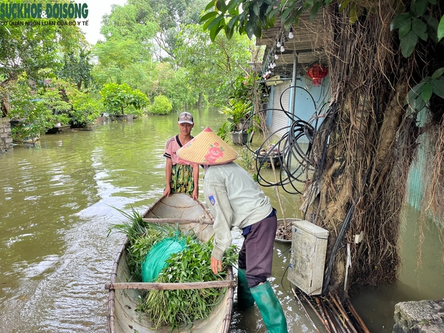 Vùng 'rốn lũ' huyện Chương Mỹ, Hà Nội cô lập trong biển nước- Ảnh 6.