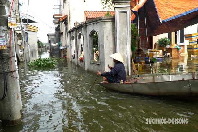 Người dân ngoại thành Hà Nội lội nước sơ tán gà vào nhà tránh lũ- Ảnh 2.