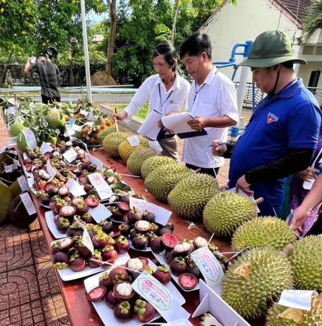 Đặc sản Khánh Hòa chào bán với giá siêu rẻ- Ảnh 2.