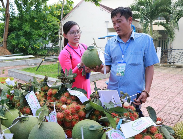 Đặc sản Khánh Hòa chào bán với giá siêu rẻ- Ảnh 3.