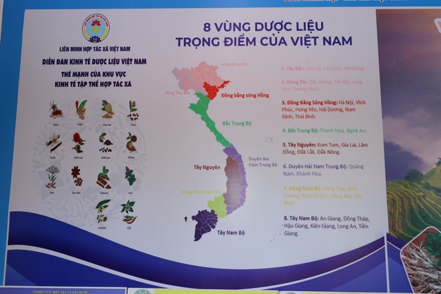 Quy hoạch xây dựng các vùng khai thác dược liệu tự nhiên bền vững tạo đà cho ngành Dược phát triển- Ảnh 3.