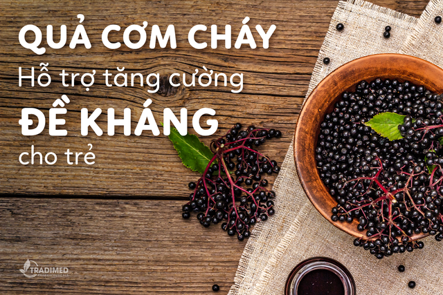 Quả cơm cháy và tác dụng hỗ trợ tăng cường đề kháng cho trẻ hay ốm và các vấn đề về hô hấp trên- Ảnh 1.