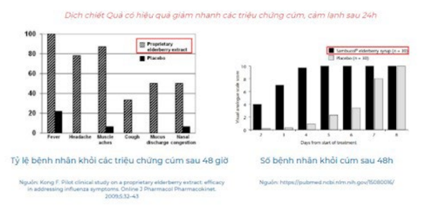 Quả cơm cháy và tác dụng hỗ trợ tăng cường đề kháng cho trẻ hay ốm và các vấn đề về hô hấp trên- Ảnh 3.