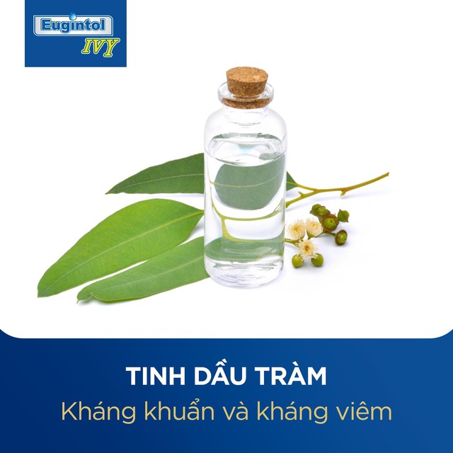 Bệnh hô hấp: Thực trạng lạm dụng kháng sinh và giải pháp thay thế từ thảo dược thiên nhiên- Ảnh 2.