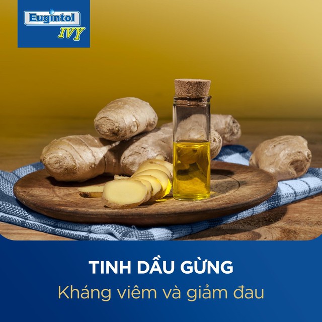 Bệnh hô hấp: Thực trạng lạm dụng kháng sinh và giải pháp thay thế từ thảo dược thiên nhiên- Ảnh 3.