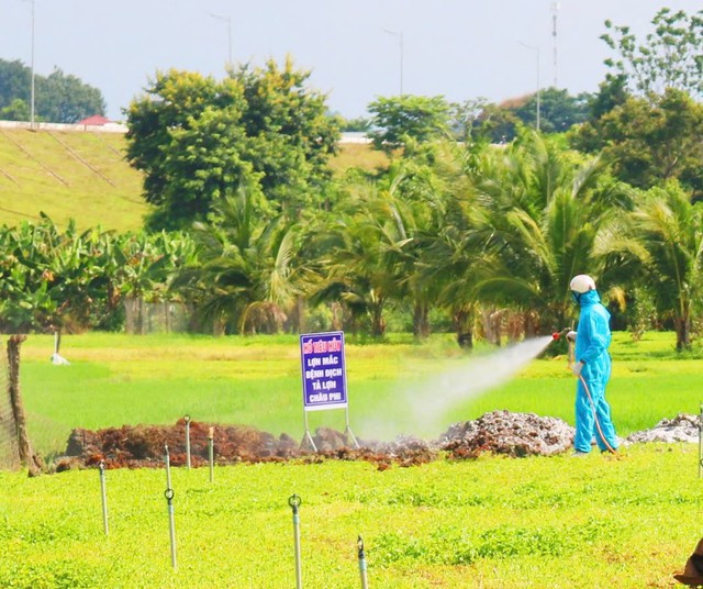 Ngăn dịch tả lợn Châu Phi lây lan ở Đắk Lắk- Ảnh 1.