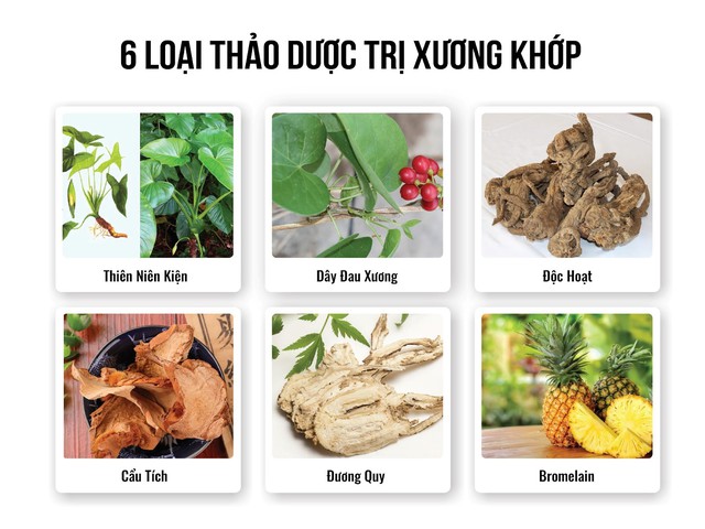 Người bạn đồng hành hỗ trợ cho xương khớp khỏe mạnh- Ảnh 2.