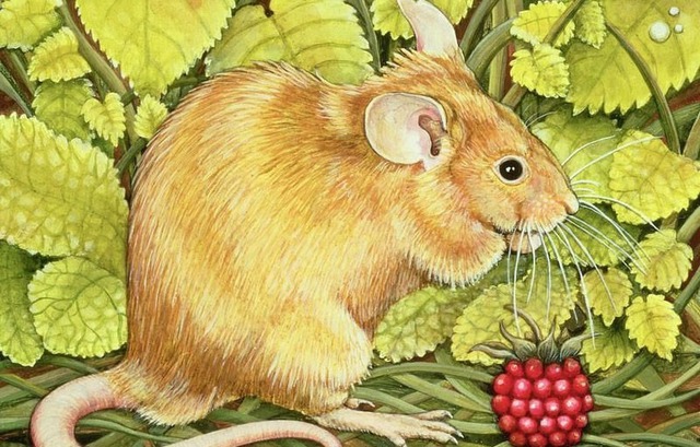 Tử vi 12 con giáp hôm nay 7/8/2024: Tỵ, Ngọ hanh thông, thuận lợi- Ảnh 1.