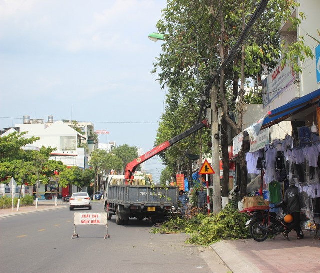 Cắt tỉa cây xanh trong mùa mưa bão- Ảnh 2.