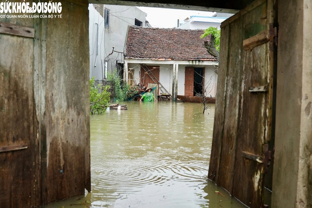 Cận cảnh xóm vùng ven Hà Nội bị cô lập trong nước lũ- Ảnh 7.