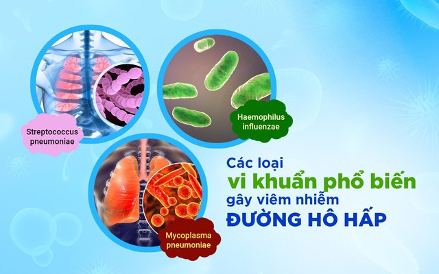 Xu hướng tìm đến dược liệu tự nhiên trong hỗ trợ viêm nhiễm đường hô hấp- Ảnh 1.