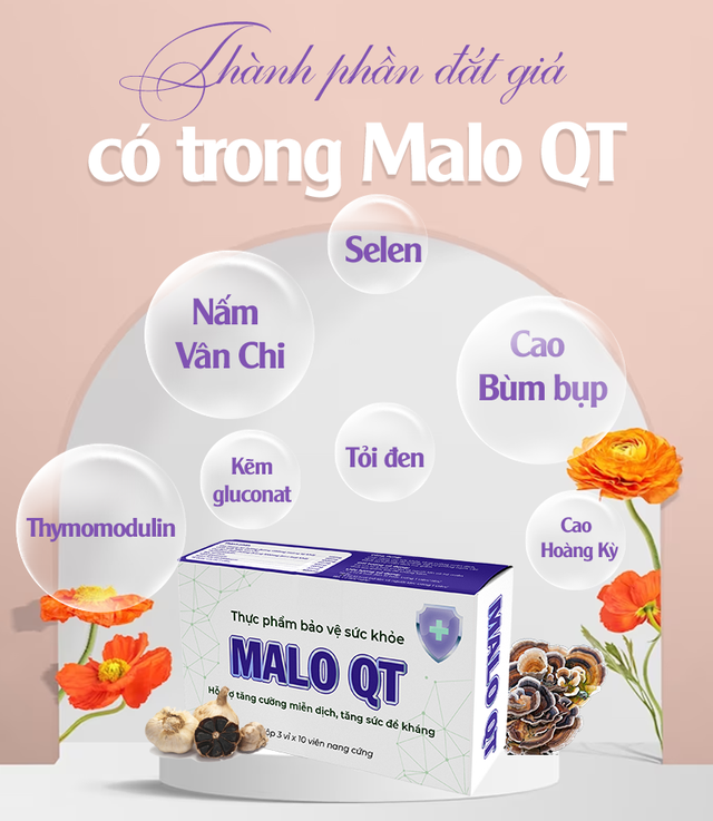 Tập hợp các tinh chất quý hiếm từ thảo dược cho bài thuốc hỗ trợ tăng cường miễn dịch- Ảnh 1.