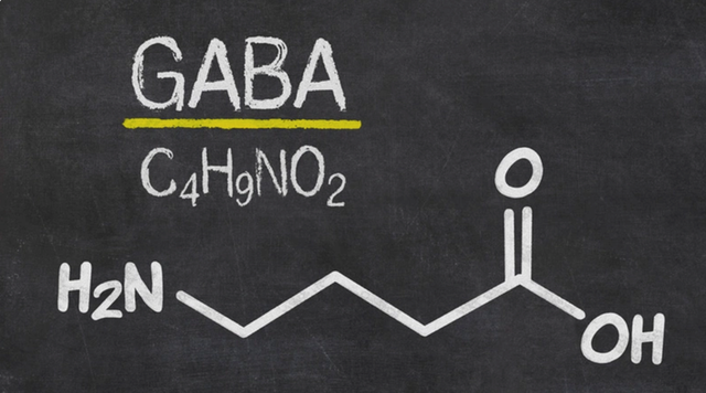 Chăm sóc sức khoẻ tinh thần với GABA – xu hướng thịnh hành tại nhiều nước phát triển- Ảnh 1.