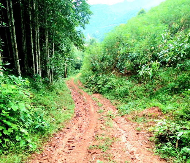 làng nủ