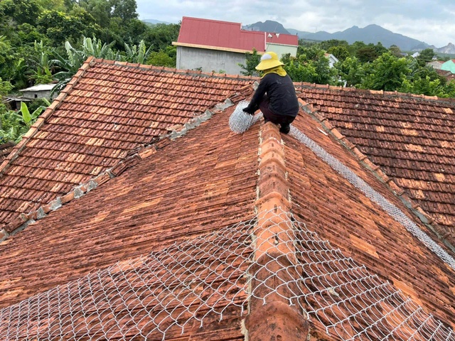 Bão chưa đổ bộ, nhiều cây bật gốc, một số tuyến đường ngập- Ảnh 5.